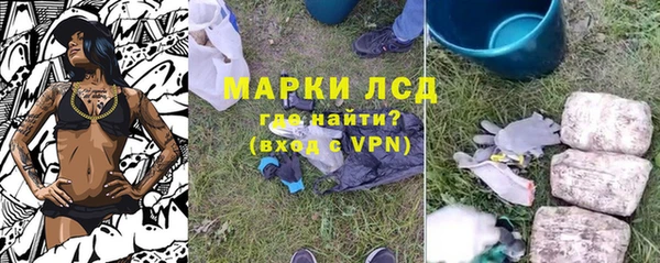 PSILOCYBIN Галич
