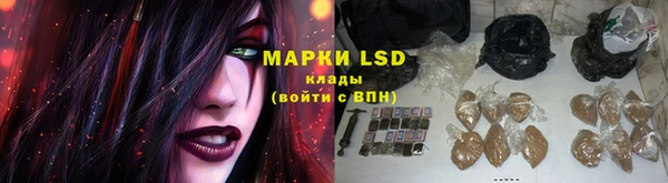 крисы Верея